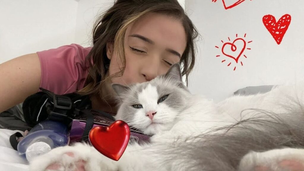 Streamer Pokimane abruptly ends stream after death of beloved cat, Mimi; the cleaners had allegedly left a door open