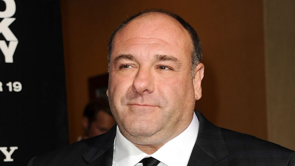 James Gandolfini’s TV Debut Was In This Forgotten ’90s Series With A Star