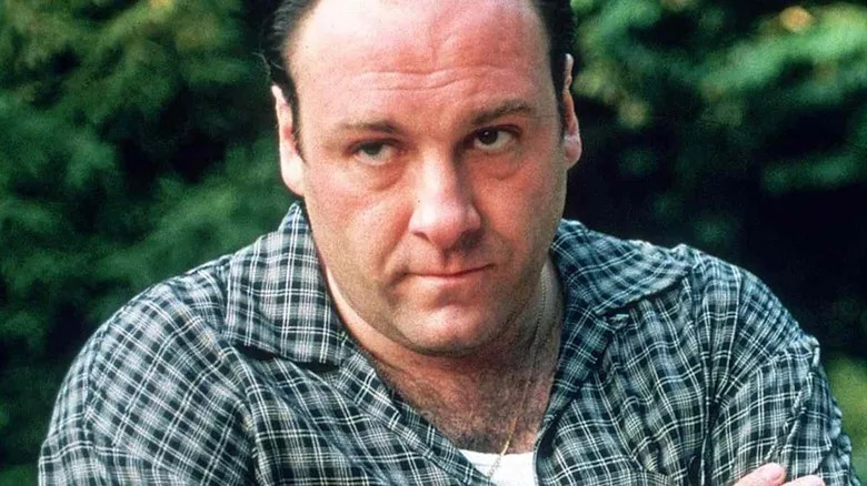Tony Soprano crosses his arms and looks to the side in The Sopranos