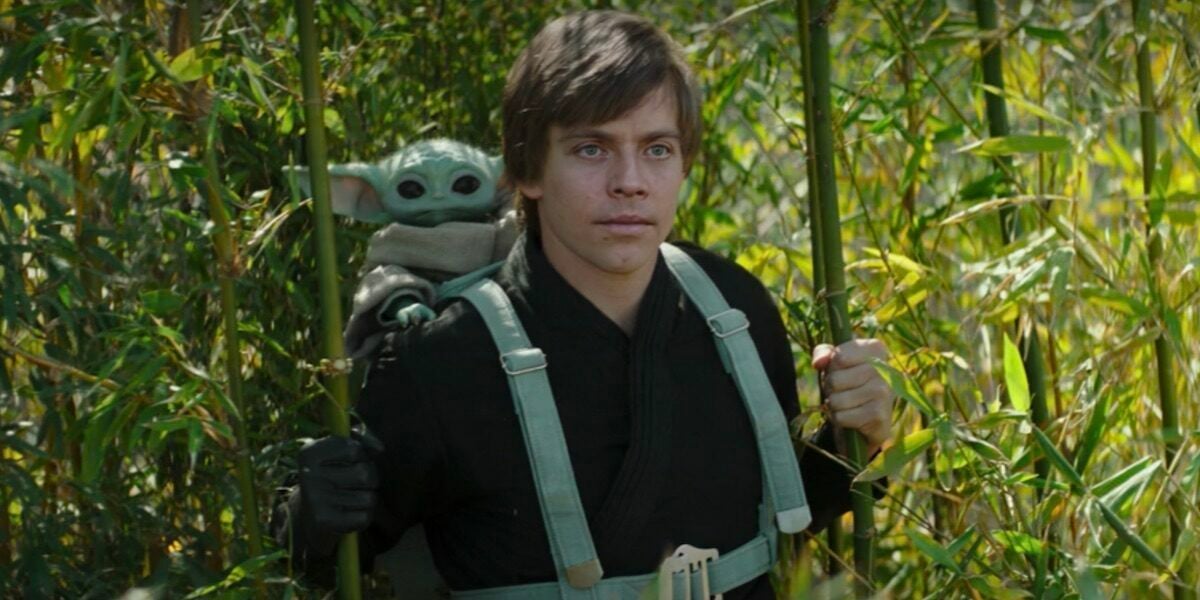 Luke Skywalker with Grogu in a backpack in 'The Book of Boba Fett'