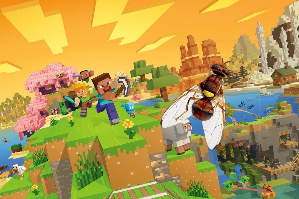 Minecraft Takes Science to a New Level: A Fly’s Brain Was Transplanted Into the Video Game