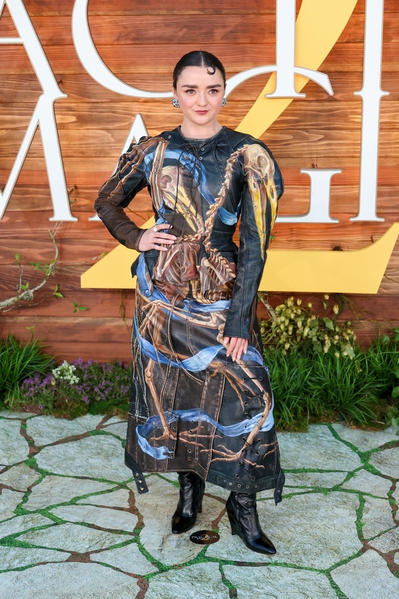 Stars at the Practical Magic 2 premiere in Los Angeles