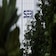 SEBI proposes shorter DR drills, stronger resilience norms for market infra institutions