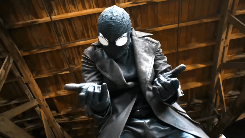 Nicolas Cage The Spider, Spider-Noir.
