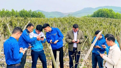 Digital transformation in villages can begin with something that the villagers need.