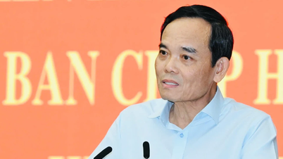 Secretary of the Ho Chi Minh City Party Committee: We will not allow incompetent people to hold important positions.