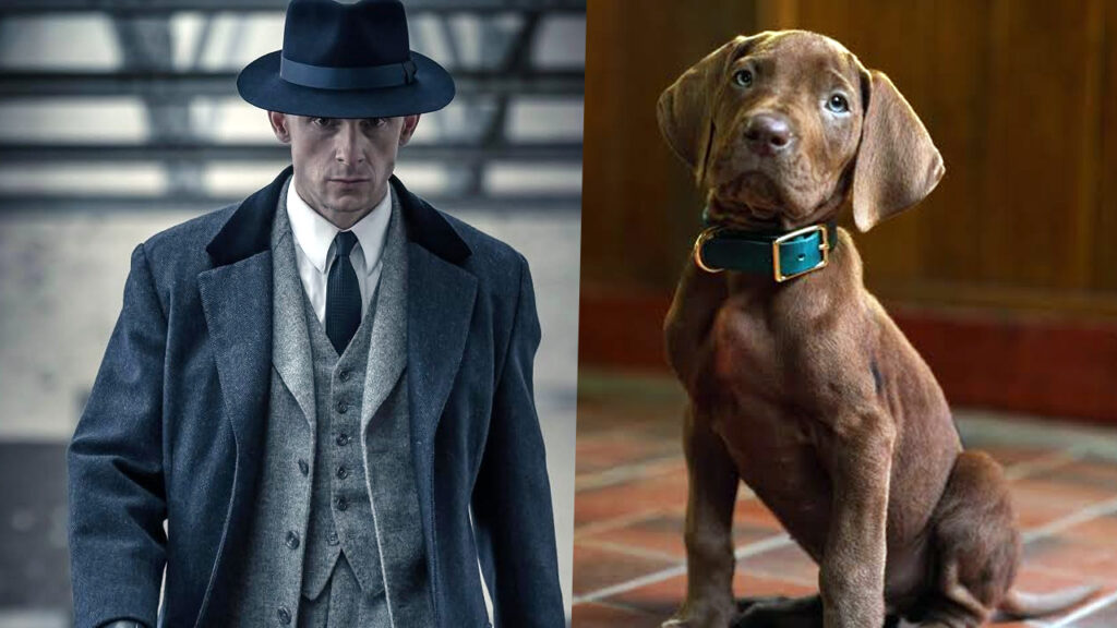 20 New Netflix Series To Keep On Your Radar For 2027 20 New Netflix Series To Keep On Your Radar For 2027