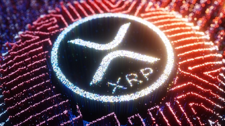‘We’re Early’: Creator of First XRP NFTs Points to Bull Run Everyone Missed ‘We’re Early’: Creator of First XRP NFTs Points to Bull Run Everyone Missed
