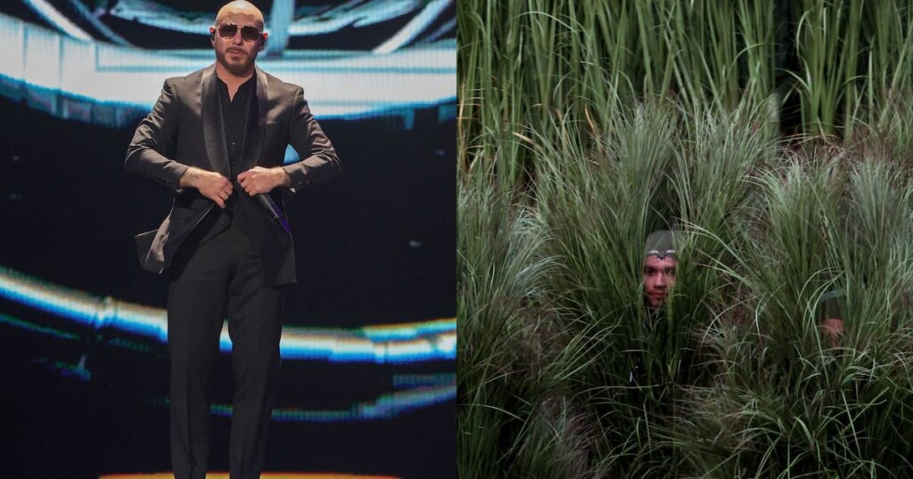 Halloween costumes 2026: From Pitbull to Bad Bunny’s bushes, seven pop culture-inspired looks to try