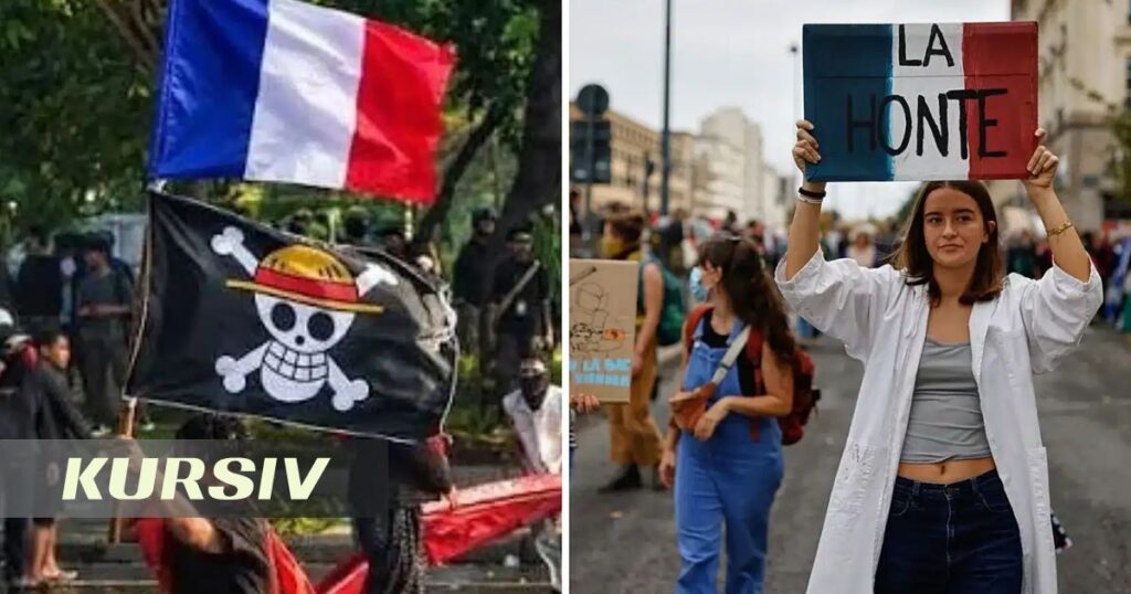 One Piece flag at France protests divides anime fans One Piece flag at France protests divides anime fans