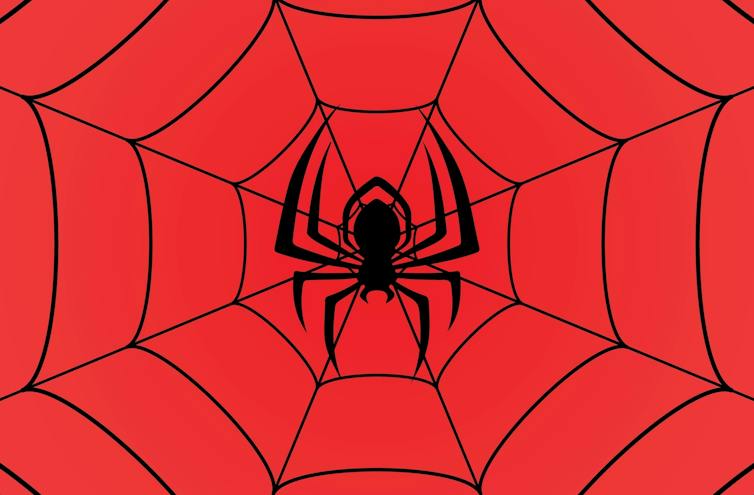 A red background with a black spider's web and a huge black spider on it.