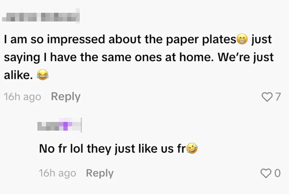 A social media post where two users humorously bond over having the same paper plates as The Rock