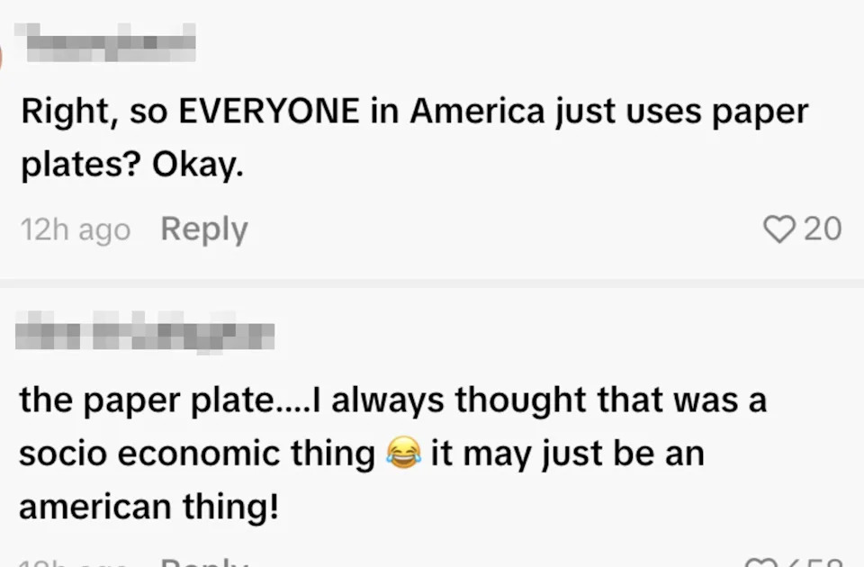 Comments questioning if everyone in America uses paper plates