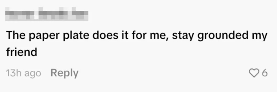 A social media comment reads: "The paper plate does it for me, stay grounded my friend"