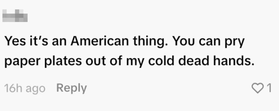 Comment: "Yes it's an American thing. You can pry paper plates out of my cold dead hands"