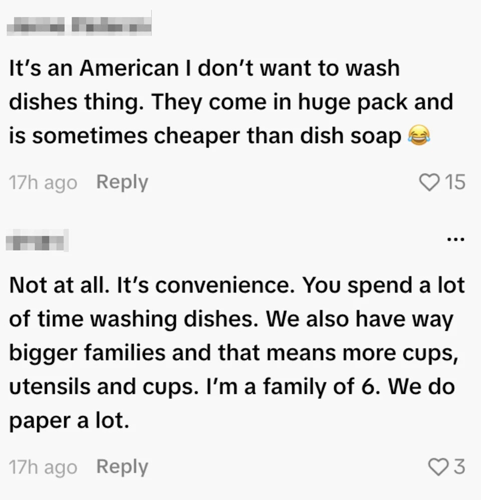 Comments discussing the convenience of using paper dishes in large families instead of washing regular dishes