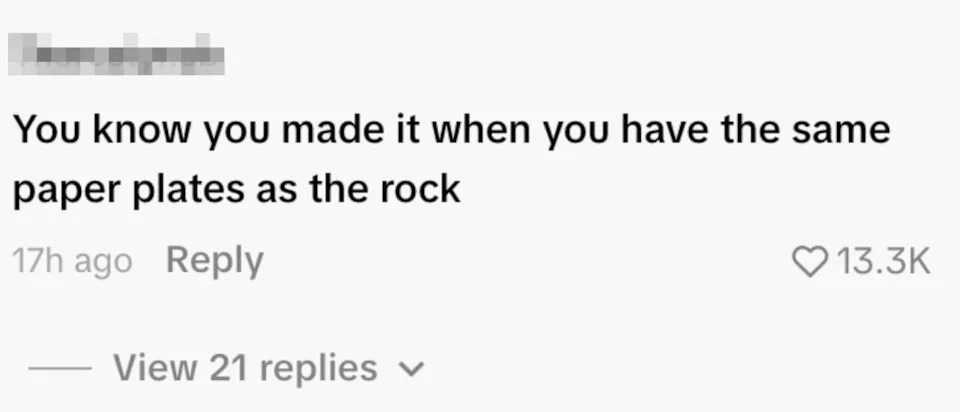 Comment reads: "You know you made it when you have the same paper plates as the rock."