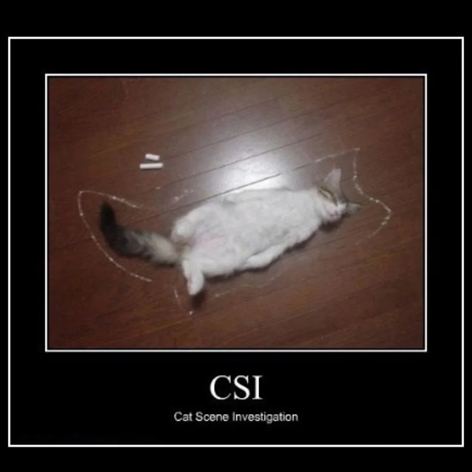 Your Tuesday Dose of TV Shows: 22 'CSI' Memes Edition (October 6, 2026)