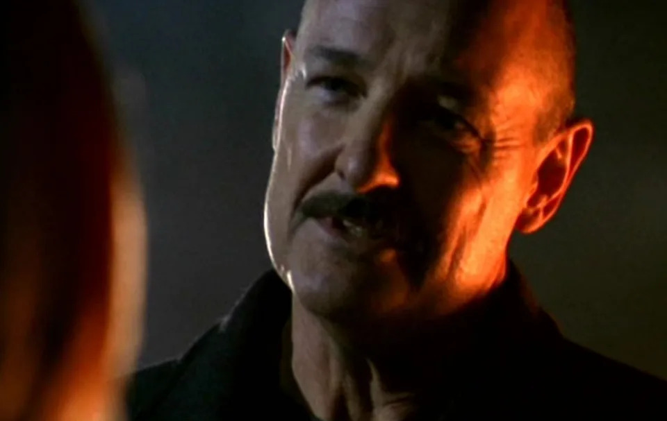 15 Shows That Didn't Care if They Used the Same Guest Actor Twice