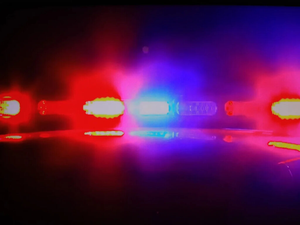 What investigators discovered behind one online collectibles business