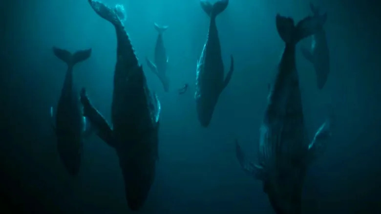 Some whales doing creepy things