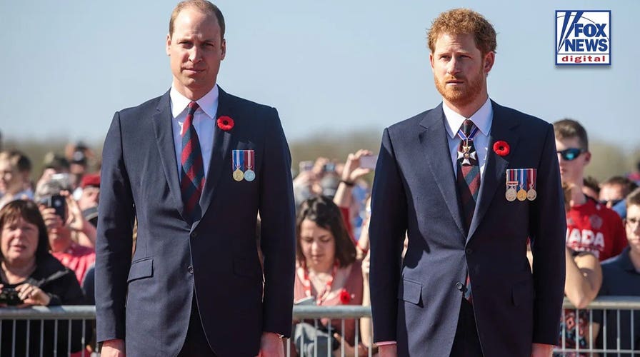 Prince Harry's possible Diana film is ‘grenade’ at Prince William's feet: expert