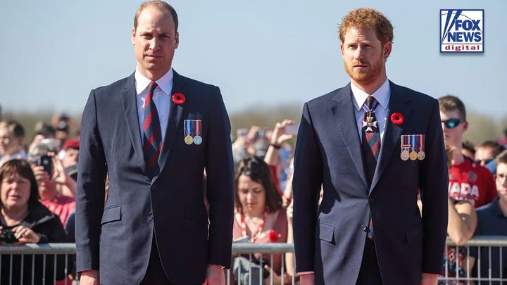 Prince Harry's possible Diana film is ‘grenade’ at Prince William's feet: expert