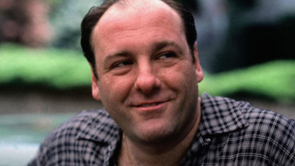15 TV Shows To Watch If You Like The Sopranos
