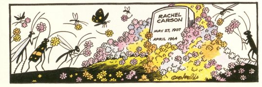 Illustration of Rachel Carson's grave stone surrounded by yellow pink and purple flowers with various insects bringing more flowers.